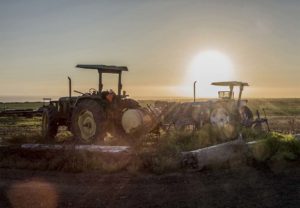 01_Tractor_Farm_sunrise